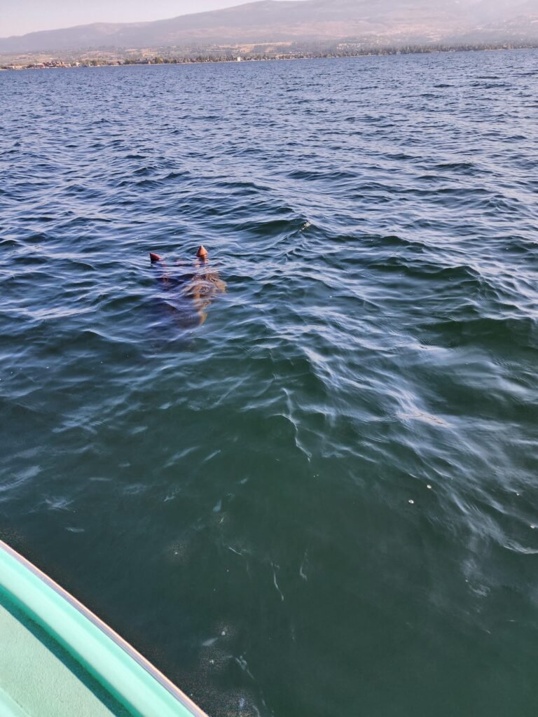 The 2022 photo taken on Okanagan Lake in British Columbia, Canada