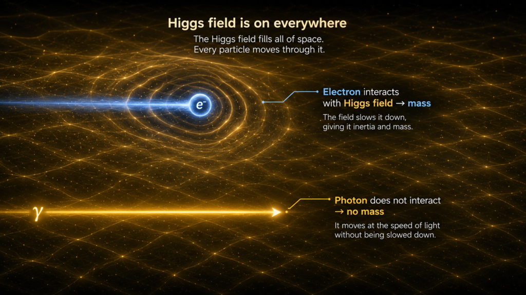 Higgs Field 